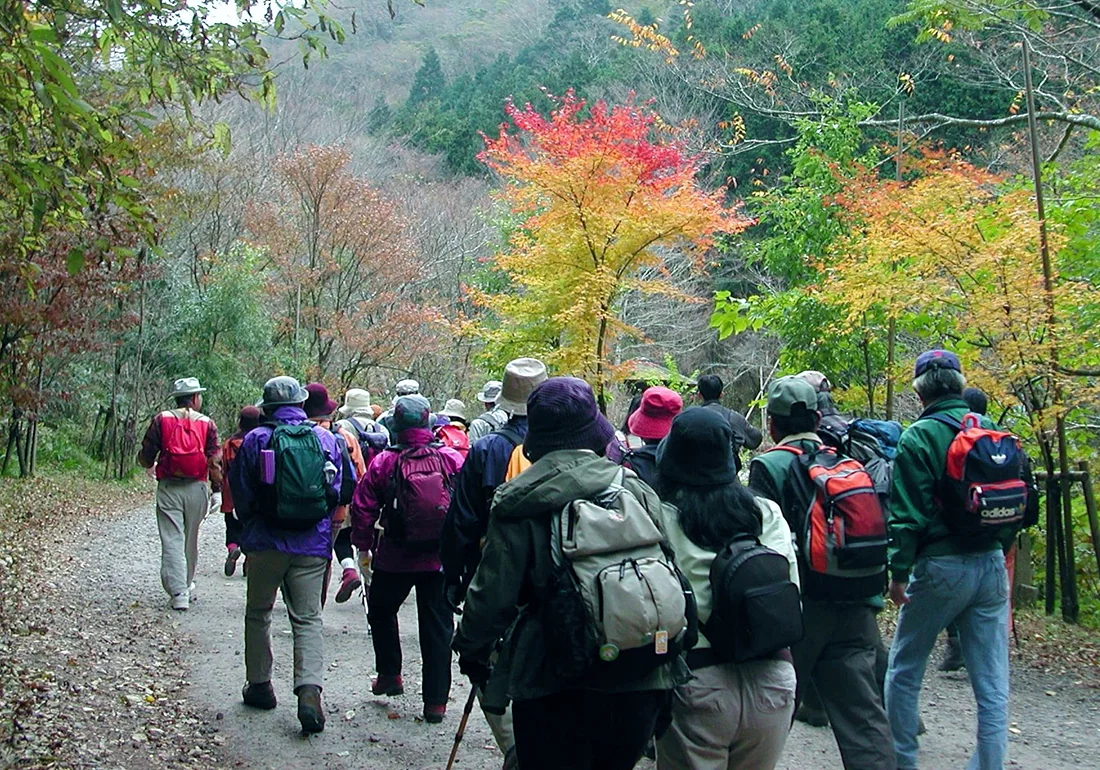 紅葉した森の中を歩くウォークラリー参加者たち