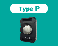 Type P
